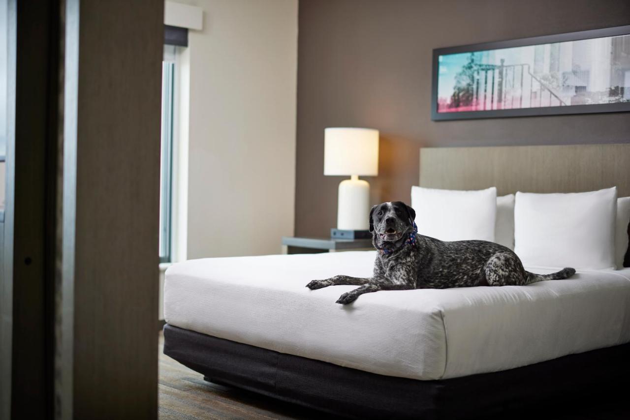 Hyatt House Denver/Downtown Luaran gambar