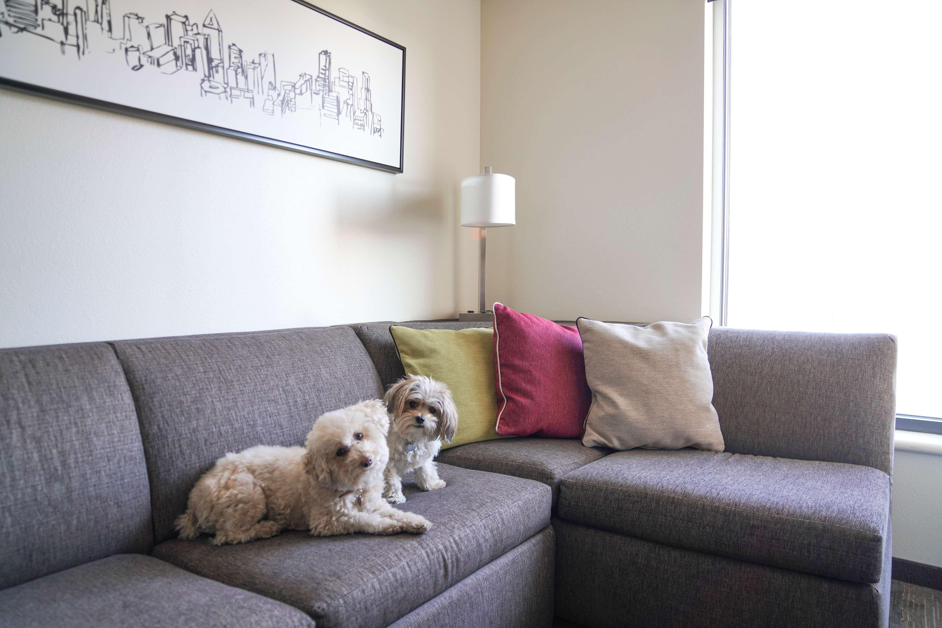 Hyatt House Denver/Downtown Luaran gambar